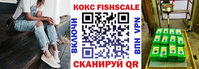 Кокаин Эквадор  omg зеркало  Нязепетровск 