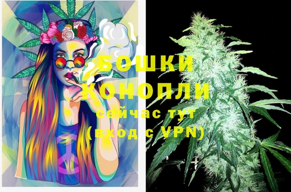 дживик Баксан