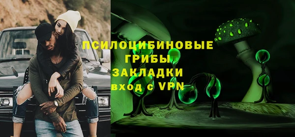 дживик Баксан
