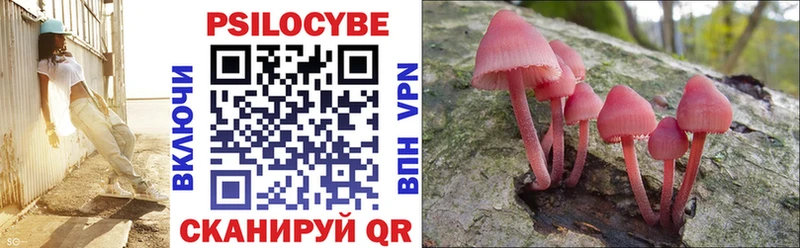 Галлюциногенные грибы мицелий blacksprut ONION Нязепетровск